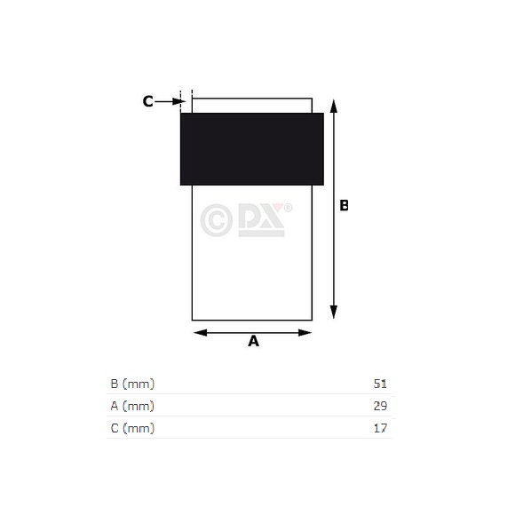 Tek. Deurstopper vloer RVS bol 29x50mm Dulimex 0526.200.2296 - Deurbeslag-en-meer.nl